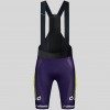 Heren Fietskleding Gobik Wilier Vittoria 2025 Absolute Print K10 Bib Tights